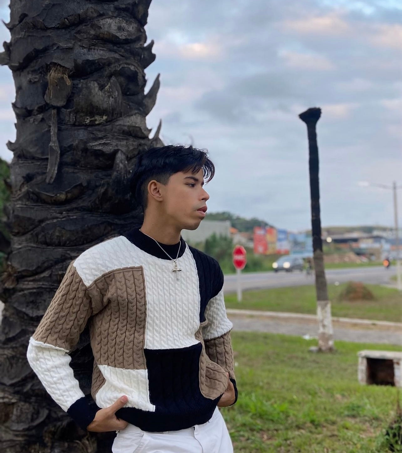 Suéter Masculino Luxo Atemporal Sartong Iseltwald®