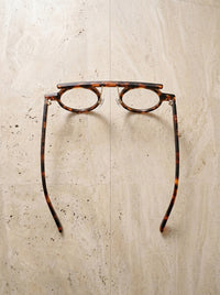 Leopardo | Transparente