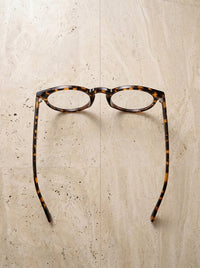 Leopardo | Transparente